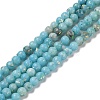 Assembled Natural Dolomite and Synthetic Opal Beads Strands G-Q017-G06-01A-1-1
