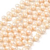 Natural Cultured Freshwater Pearl Beads Strands PEAR-I007-04E-02B-2