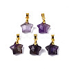 Natural Amethyst Charms G-N326-142-03-2