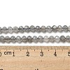 Faceted Round Natural Labradorite Bead Strands G-I156-03-4mm-6