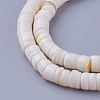 Shell Beads Strands SSHEL-E571-49I-1