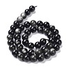 Natural Silver Obsidian Beads Strands G-D083-01B-2