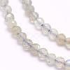 Natural Labradorite Beads Strands G-F509-03-3mm-3