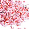 Glass Seed Beads SEED-K010-03P-1