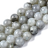 Natural Labradorite Round Beads Strands G-S158-8mm-1