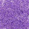 12/0 Glass Seed Beads SEED-A014-2mm-135B-2