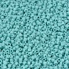 MIYUKI Delica Beads SEED-X0054-DB1586-3