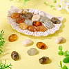 20Pcs 5 Colors Opaque Resin Cabochons RESI-TA0004-31-5