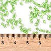 Transparent Glass Seed Beads SEED-S042-21B-01-4