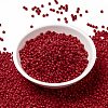 MIYUKI Round Rocailles Beads SEED-X0055-RR0408-2
