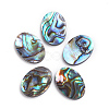 Natural Abalone Shell/Paua Shell Cabochons X-SSHEL-L017-003-1