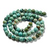Natural Peruvian Turquoise(Jasper) Beads Strands G-A219-A05-02-2