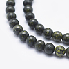 Natural Serpentine/Green Lace Stone Beads Strands G-P345-01-12mm-3