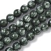 Natural Seraphinite Beads Strands G-C270-O01-07-2