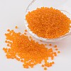 8/0 Glass Seed Beads X-SEED-A004-3mm-9-1
