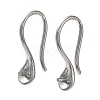 Non-Tarnish 304 Stainless Steel Earring Hooks STAS-M323-06P-1