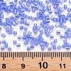 Glass Bugle Beads SEED-S032-11A-106-4