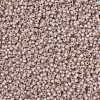 MIYUKI Round Rocailles Beads X-SEED-G008-RR0579-3