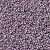 MIYUKI Delica Beads SEED-X0054-DB1064-2