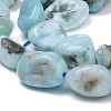 Natural Larimar Beads Strands G-L493-37-2