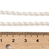 Electroplated Shell Pearl Beads Strands BSHE-Z009-10C-4