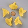 Transparent Acrylic Beads BSF796-C09-5