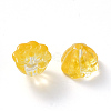 Transparent Baking Paint Glass Beads DGLA-T002-08B-2