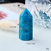 Point Tower Natural Apatite Home Display Decoration PW-WG91959-02-4
