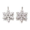 Platinum Plated Alloy Pendants X-PALLOY-L228-010P-1