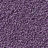 MIYUKI Delica Beads X-SEED-J020-DB1173-3