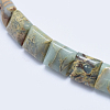 Natural Aqua Terra Jasper Beads Strands G-E444-19-3