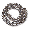 Electroplate Glass Beads Strands EGLA-R008-6x4mm-11-2