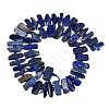 Natural Lapis Lazuli Beads Strands G-K393-B05-3
