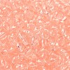 Transparent Colours Glass Seed Beads SEED-P007-02A-05-3