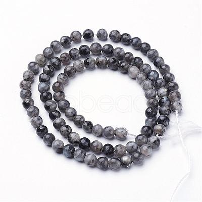 Natural Larvikite Beads Strands GSR4mmC128-1