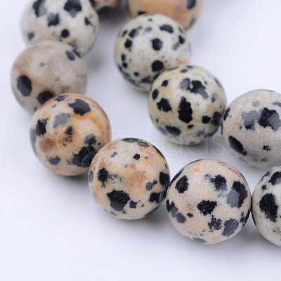 Natural Dalmatian Jasper Beads Strands X-G-Q462-4mm-30-1