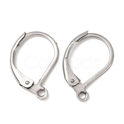 Tarnish Resistant 316L Surgical Stainless Steel Leverback Earring Findings STAS-E194-03P-1