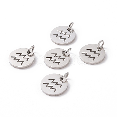 Non-Tarnish 304 Stainless Steel Charms STAS-Q201-T445-11S-1