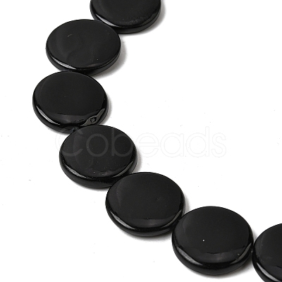 Natural Freshwater Shell Beads Strands SHEL-A006-01A-1