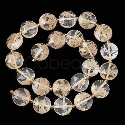 Coffee Watermelon Stone Glass Beads Strands G-A292-A04-01-1