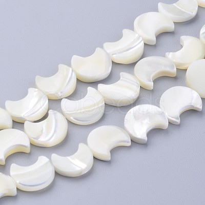Natural White Shell Beads Strands X-SSHEL-12X11-1