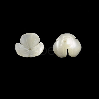 Flower Natural Trochid Shell/Trochus Shell Beads SSHEL-F290-05B-A-1
