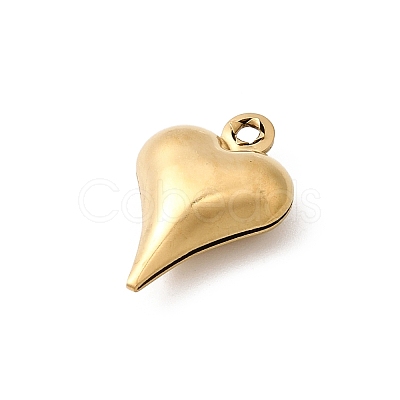 304 Stainless Steel Pendants STAS-G389-02G-04-1