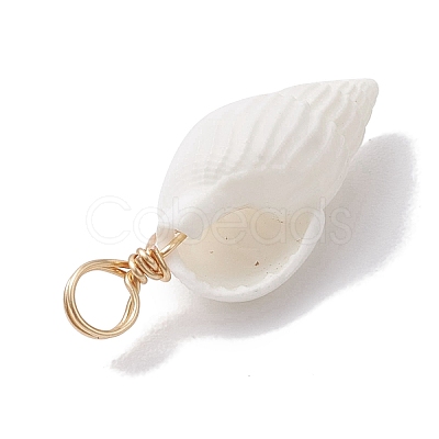 Natural Trumpet Shell Pendants PALLOY-JF02682-01-1