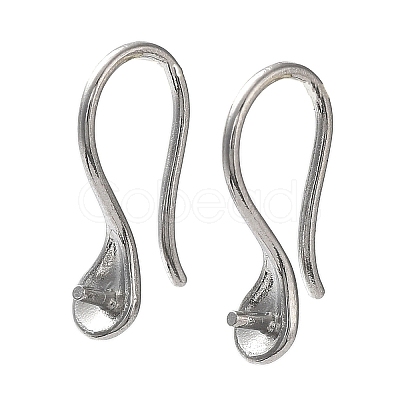 Non-Tarnish 304 Stainless Steel Earring Hooks STAS-M323-06P-1