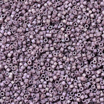 MIYUKI Delica Beads SEED-X0054-DB1064-1