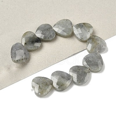 Natural Labradorite Beads Strands G-A309-A09-01-1