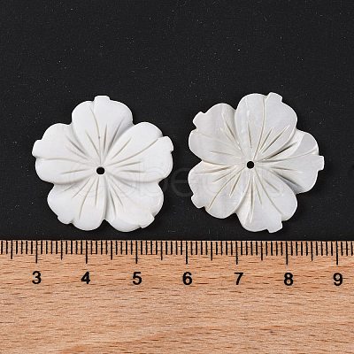 Natural Freshwater Shell Carved Beads BSHE-S304-16-1