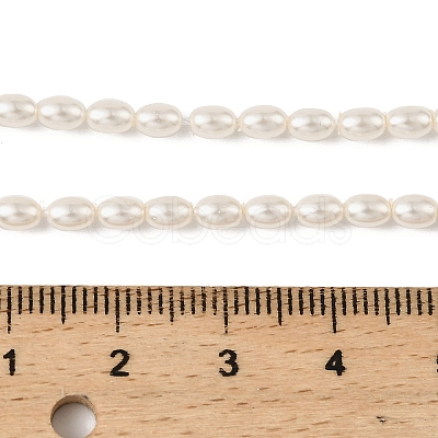 Electroplated Shell Pearl Beads Strands BSHE-Z009-10C-1