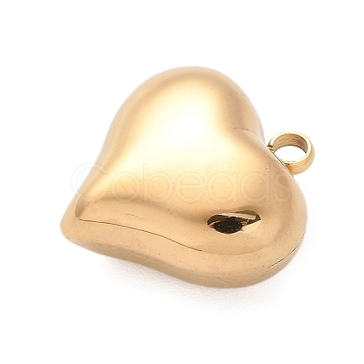 304 Stainless Steel Pendants STAS-Q349-02F-G-1